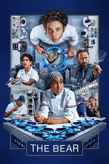 Affiche de The Bear